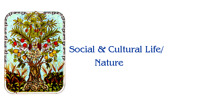 socialcultural